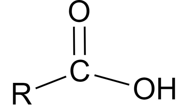 <p></p>