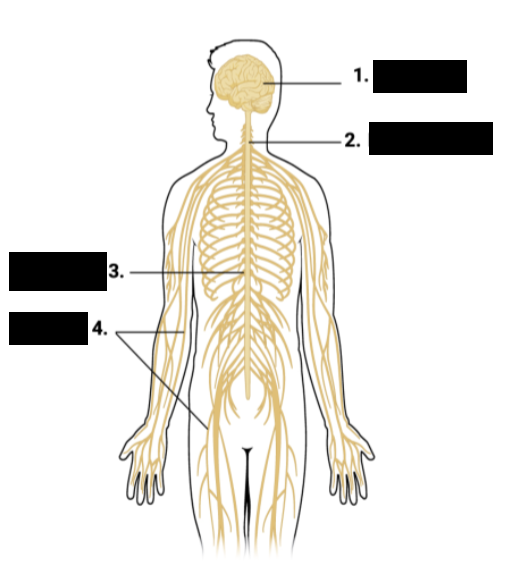 <p>1</p>