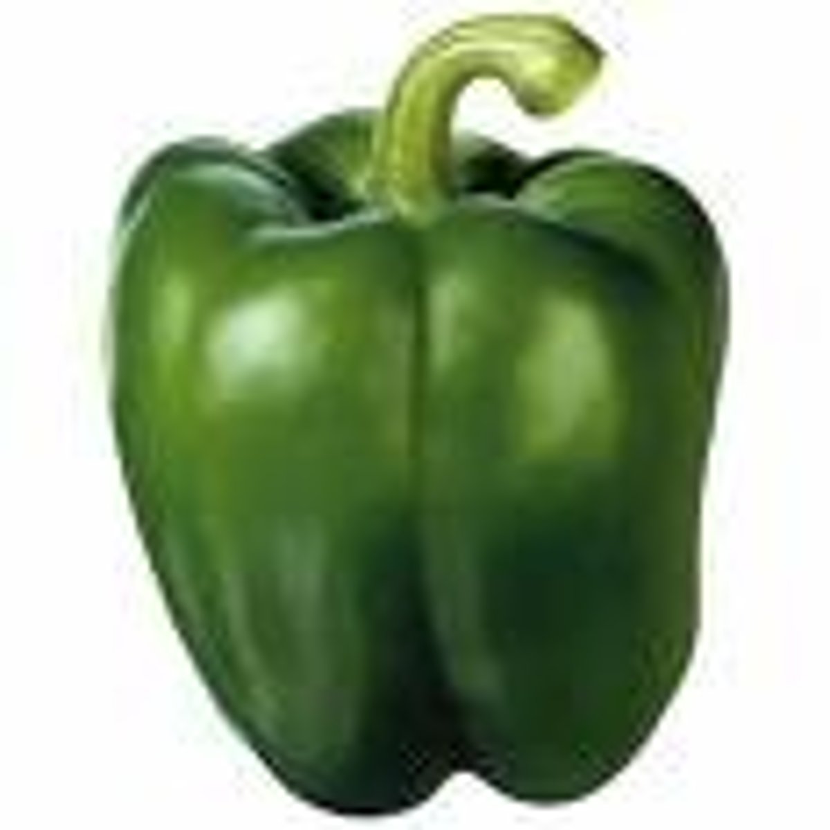 <p>bell pepper</p>