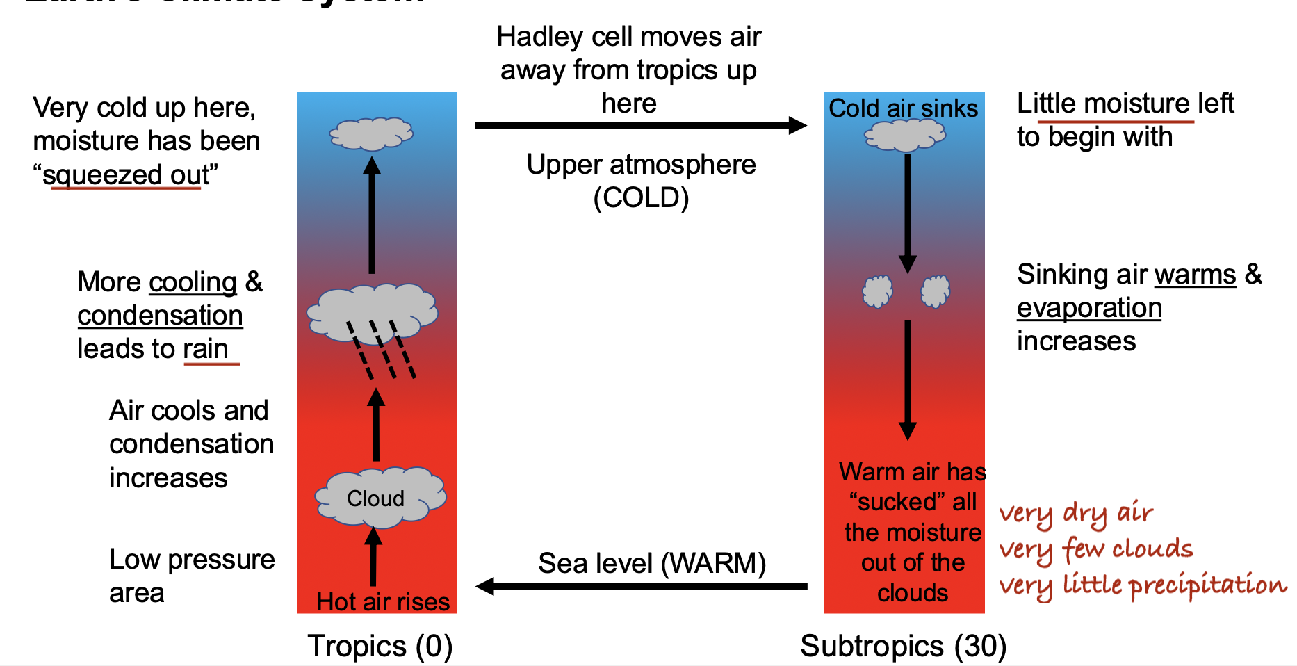 <p>A. The Hadley cell is responsible for the arid climates found at around 30 degrees latitude.</p>