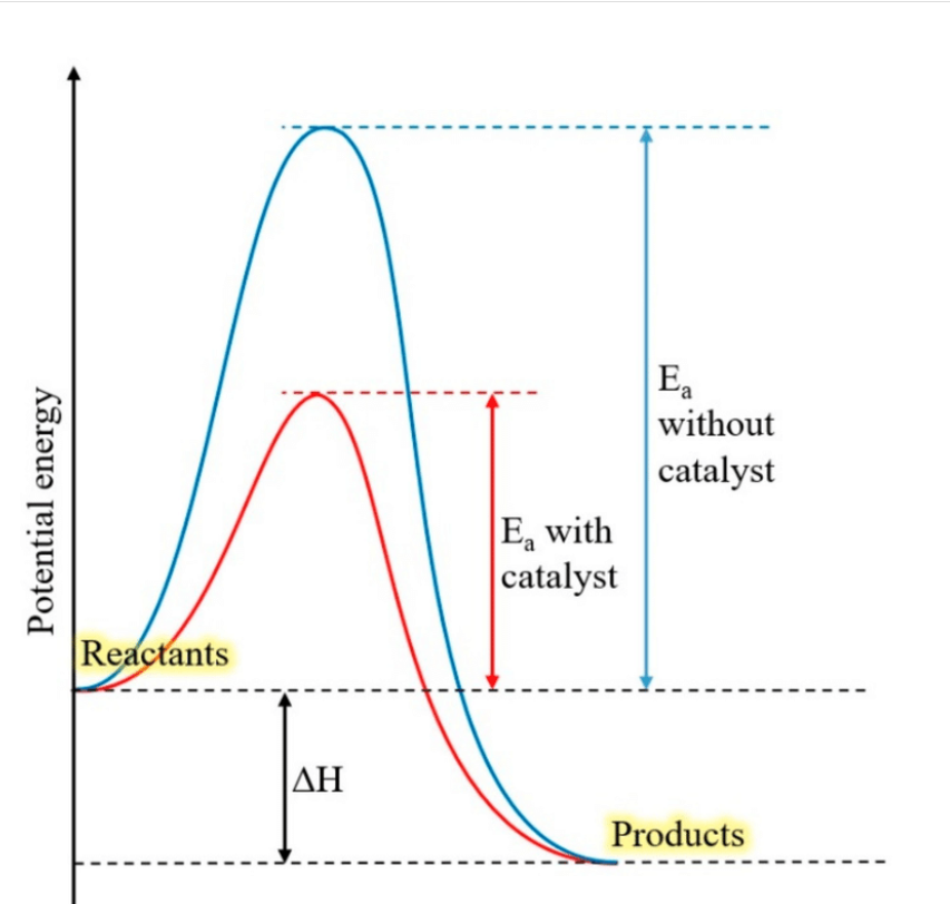 <p>describe the uphill, peak and downhill portion of the energy profile</p>