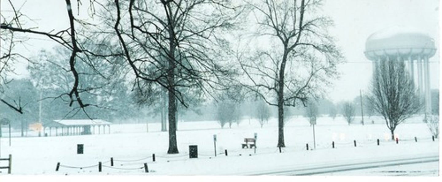 <p>it's cold</p>