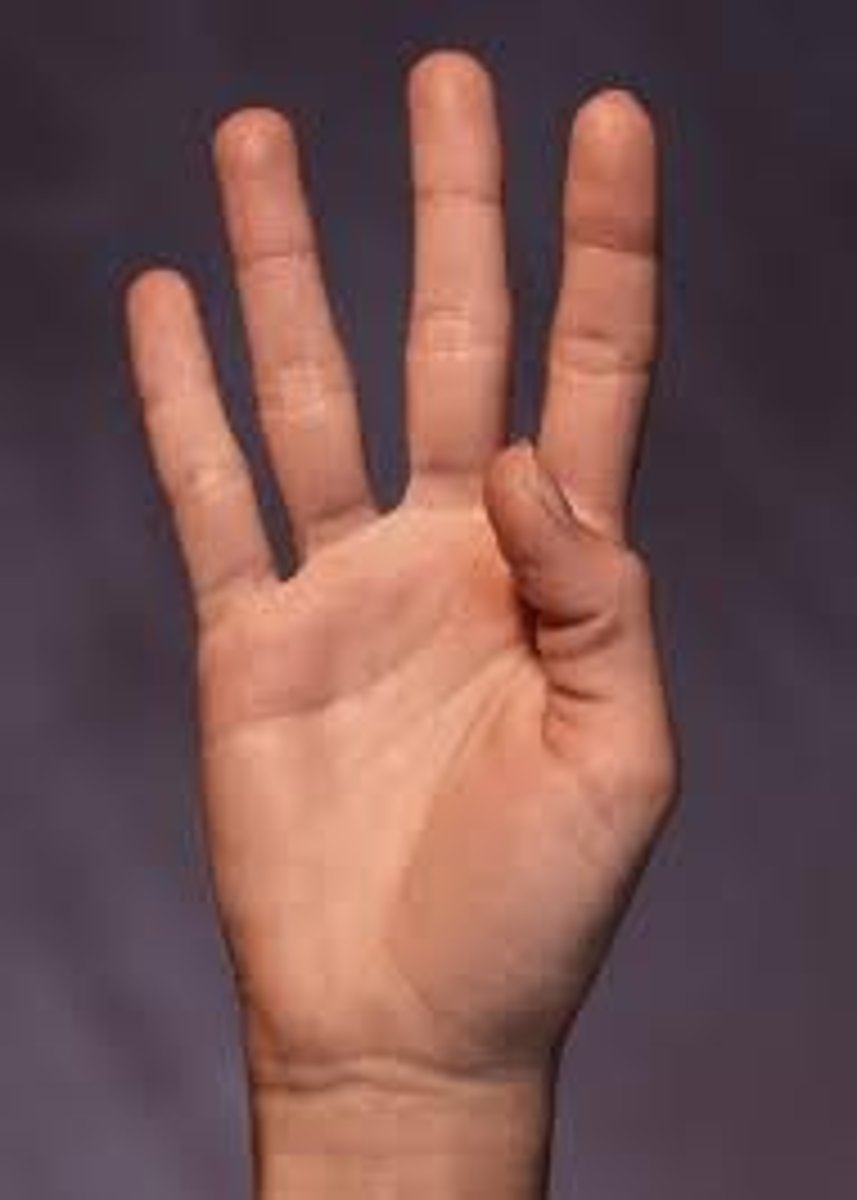<p>4</p>