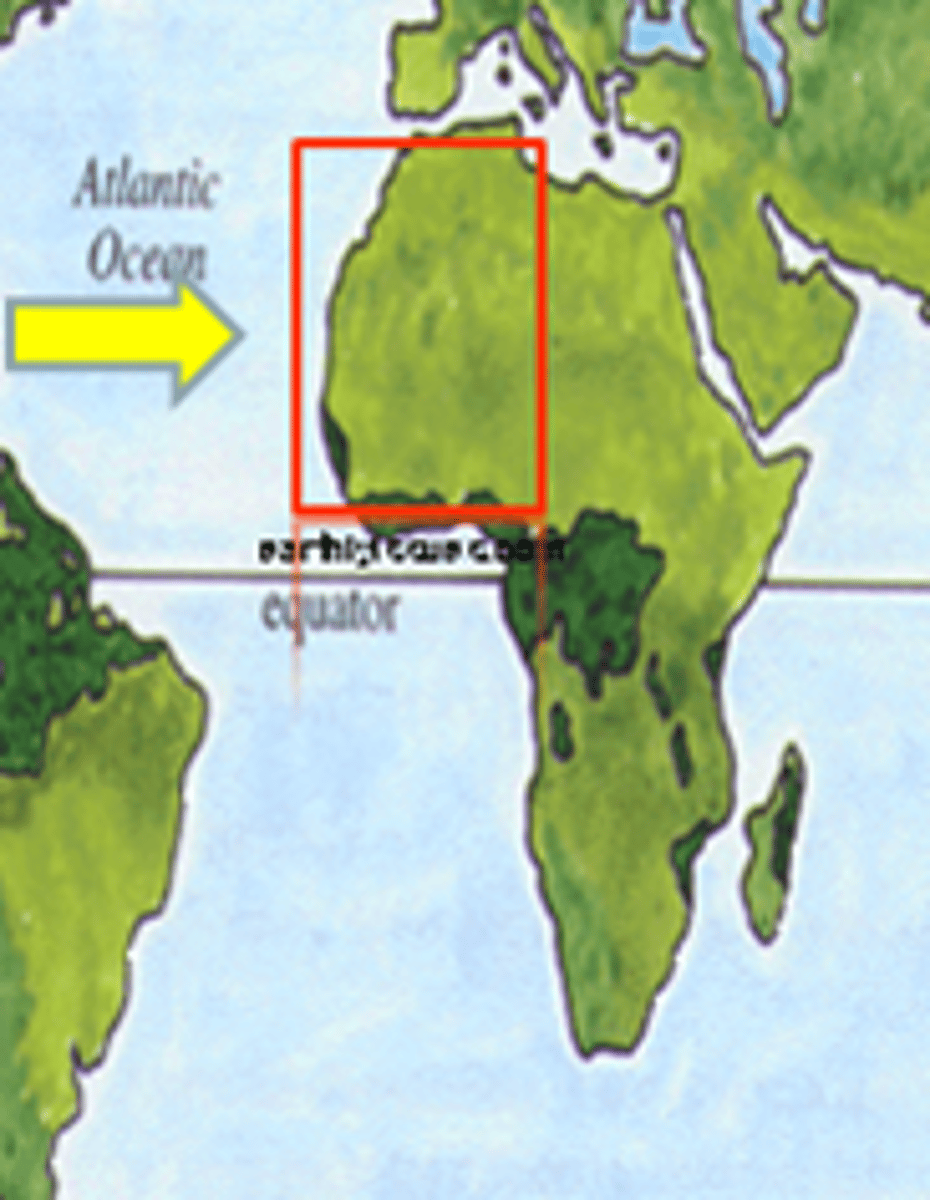 <p>(established 1808) British Royal Navy force formed to enforce the abolition of the slave trade in 1807. It intercepted hundreds of slave ships and freed thousands of Africans.</p>