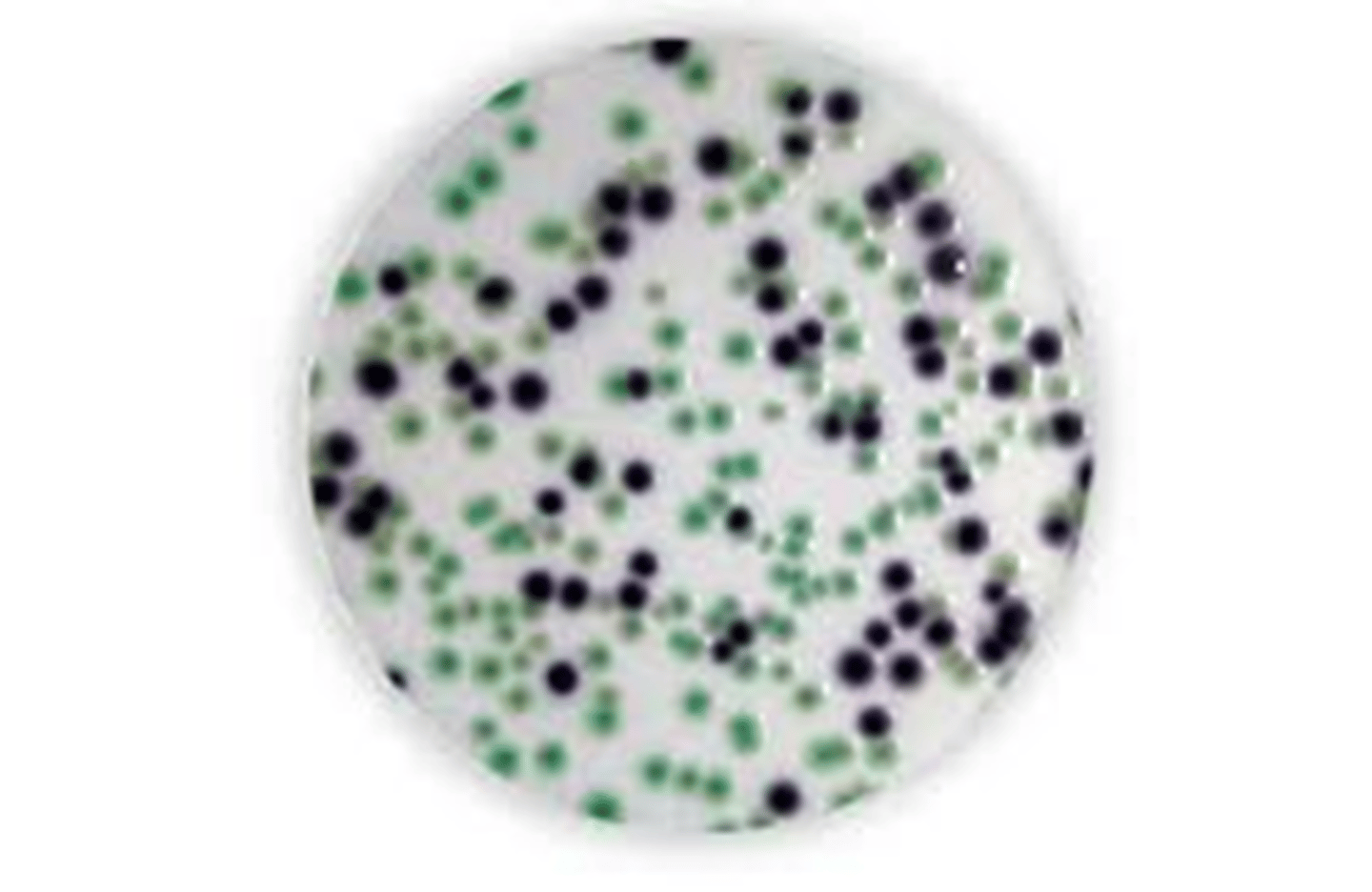 <p>What type of media is this?</p>