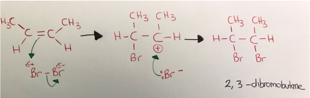 <ul><li><p>curly arrows must come from bond in stage one</p></li><li><p>curly arrow must come from between lone pair in stage 2</p></li></ul>