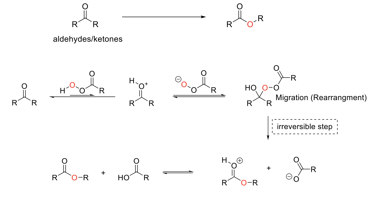 <p>Baeyer-Oxidation Reaction</p>