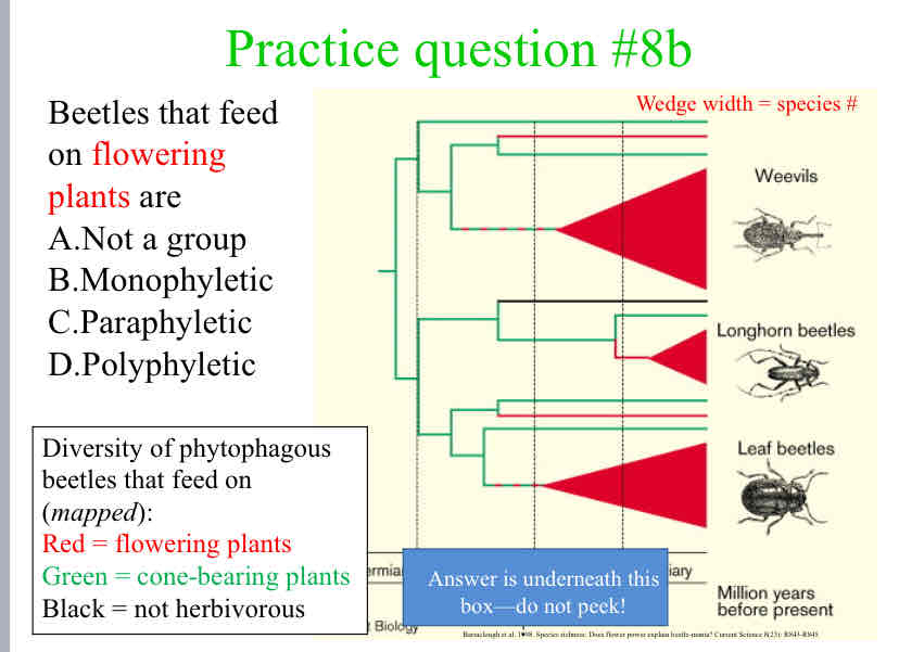 <p>Beetles that feed on flowering plants are</p>