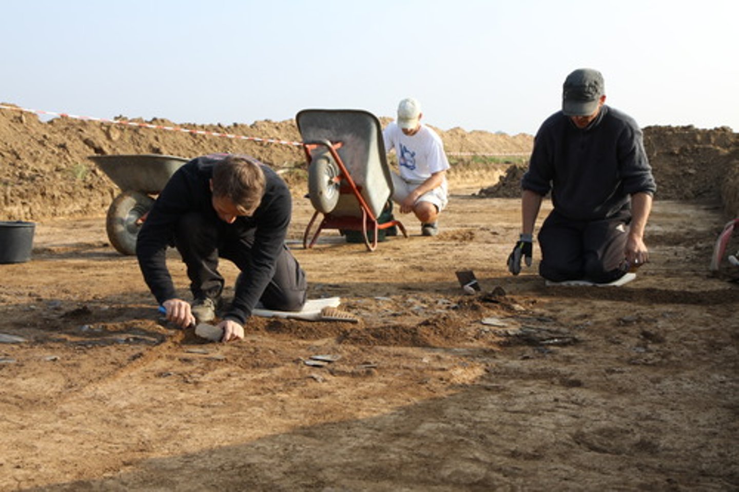 <p>archeologist</p>