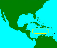 <p></p>