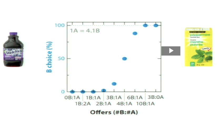 <p>Recap: What was the exchange rate with different liquids?</p>
