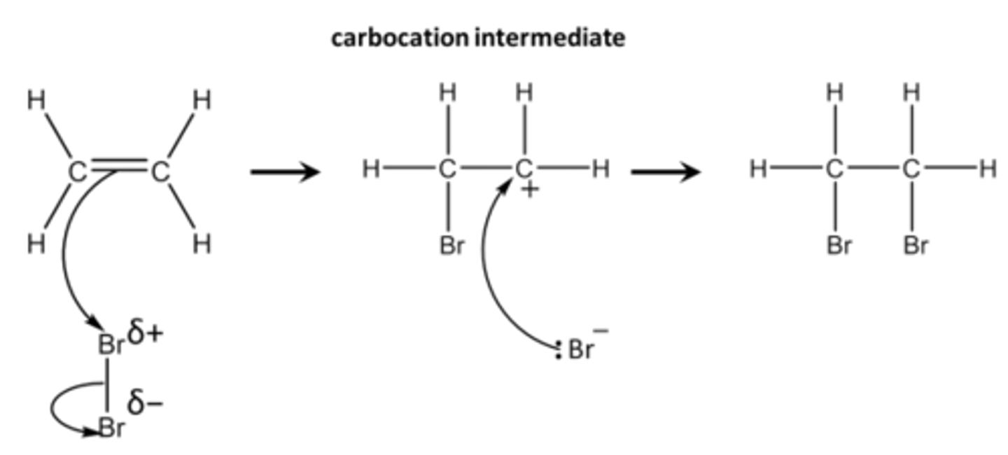<p>[Electrophilic addition]</p><p>Br₂, 20°C</p>