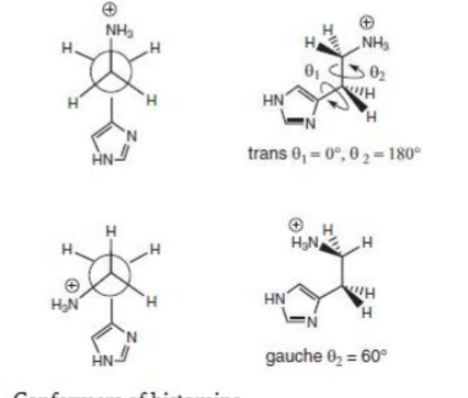 <p>which conformation of histamine is more active?</p>