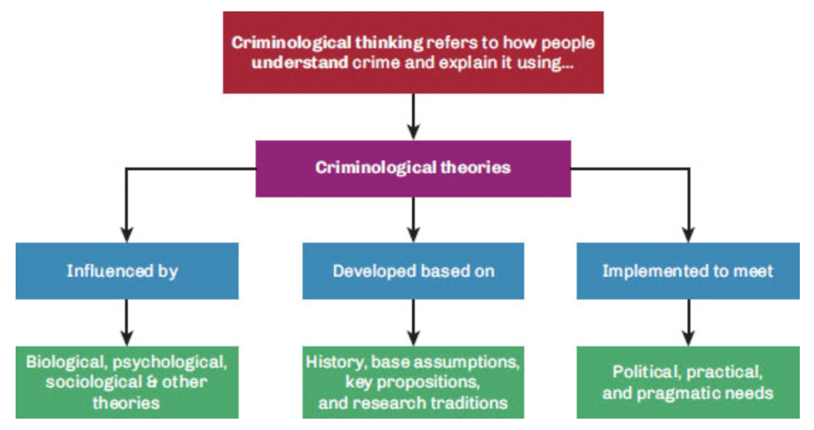 <p>bottom green portion of this is dismissive as sociology is looking at the root cause of crime (considering race, age, gender, and social class)</p>