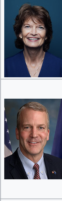 <p></p>