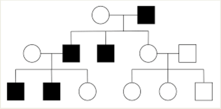 <p>what mode of inheritance is shown by the pedigree below??</p>