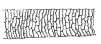 <p></p>