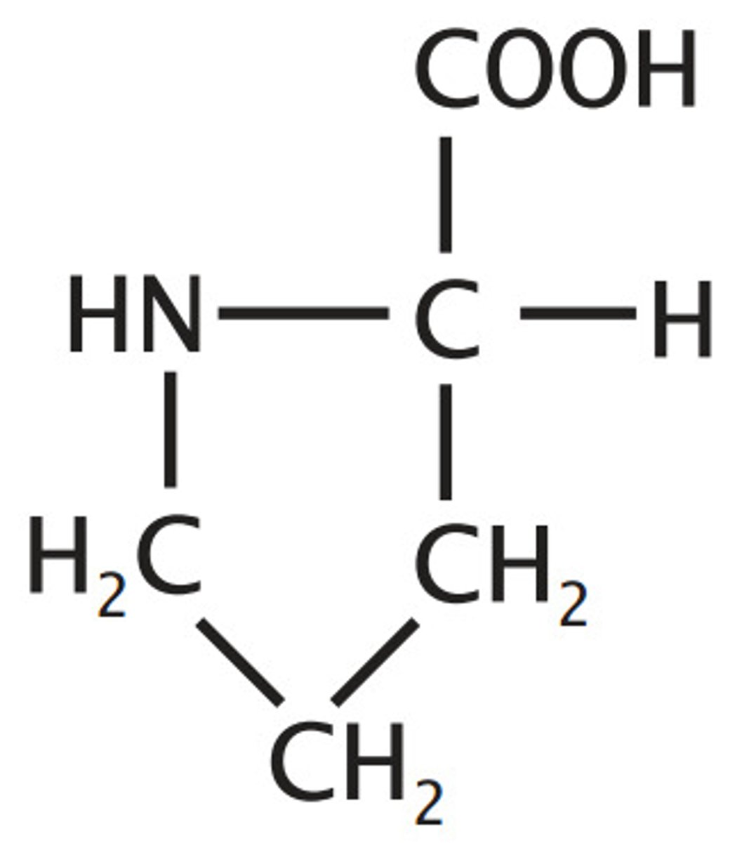 <p>Restricted torsion angles, can adopt cis peptide bond, often found in turns, Hydrophobic/Nonpolar, Alkyl/Aliphatic</p>