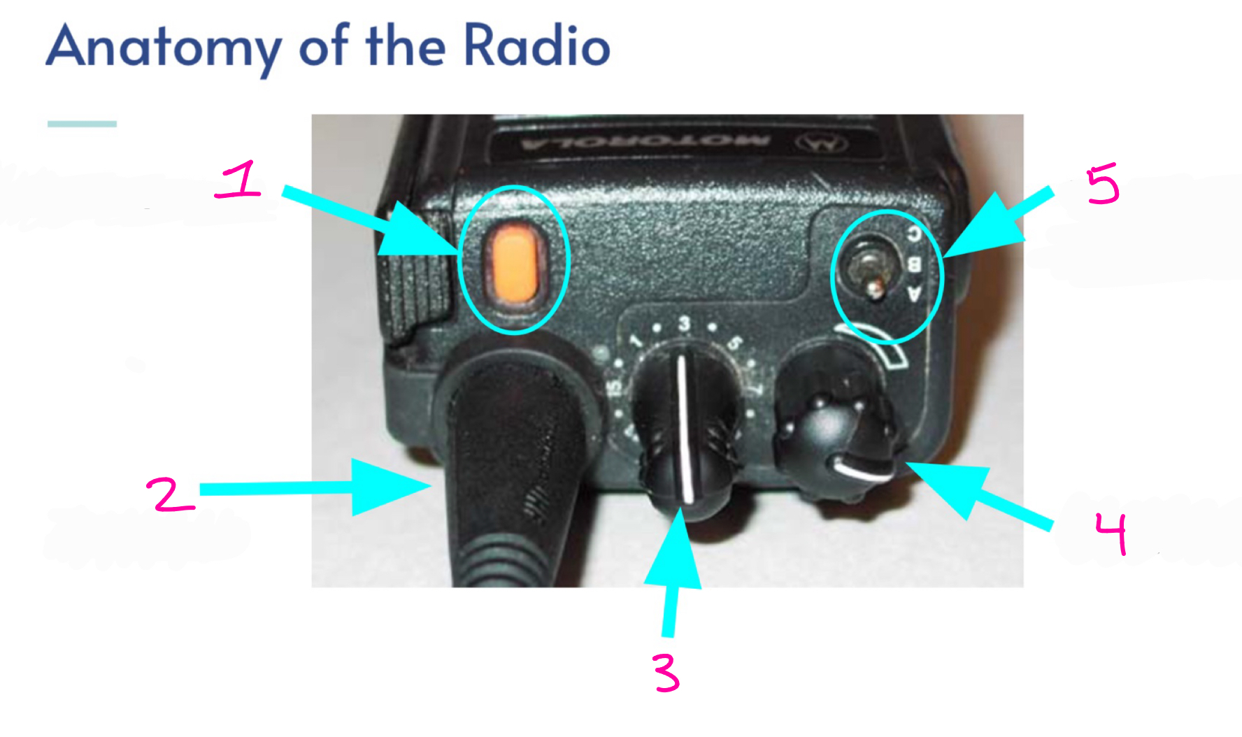<p>anatomy of the radio</p>