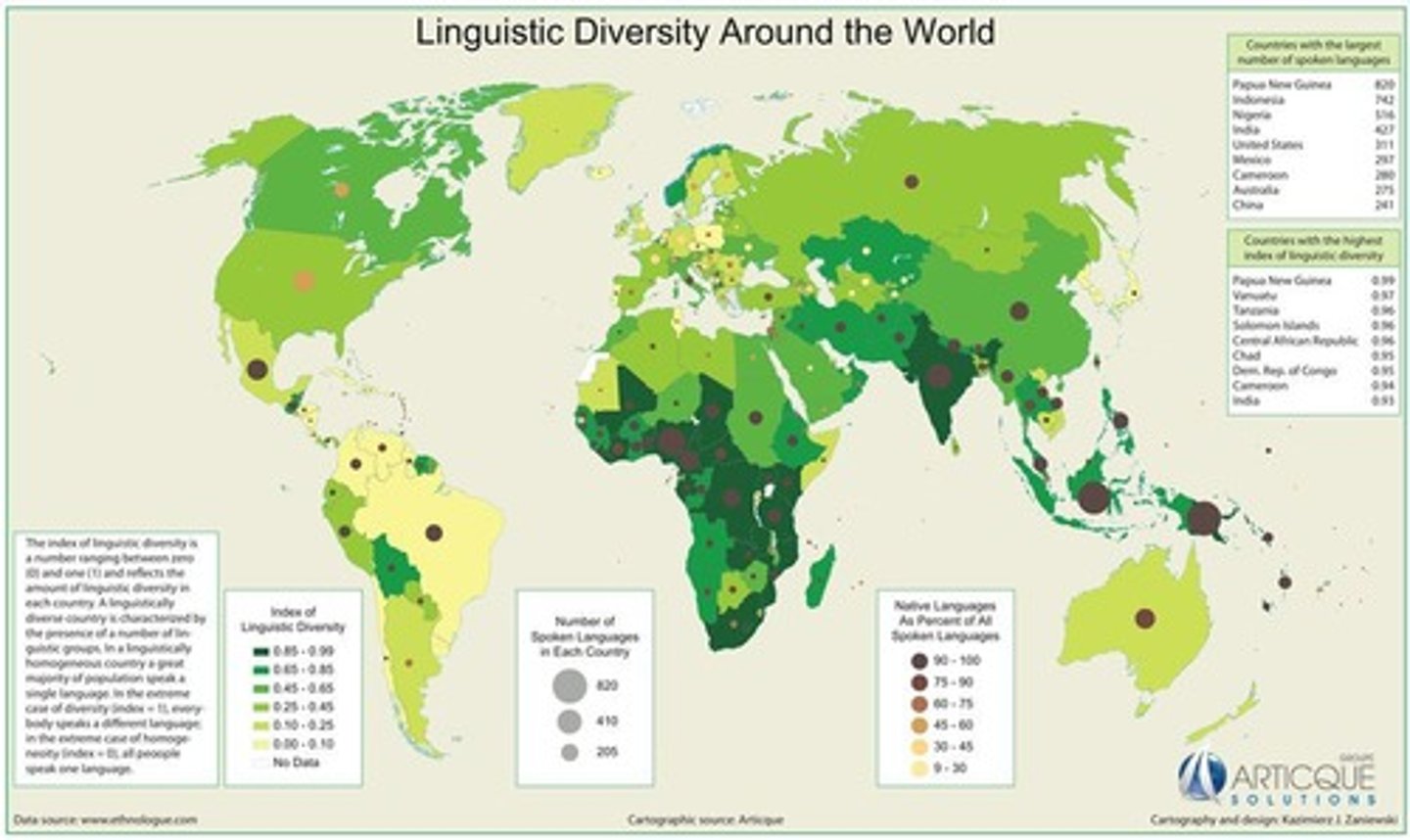 <p>linguistic diversity</p>