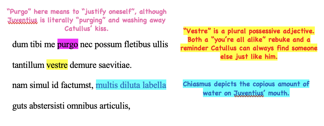 <p>dum tibi me purgo nec possum fletibus ullis</p><p>tantillum vestre demure saevitiae.</p><p></p>