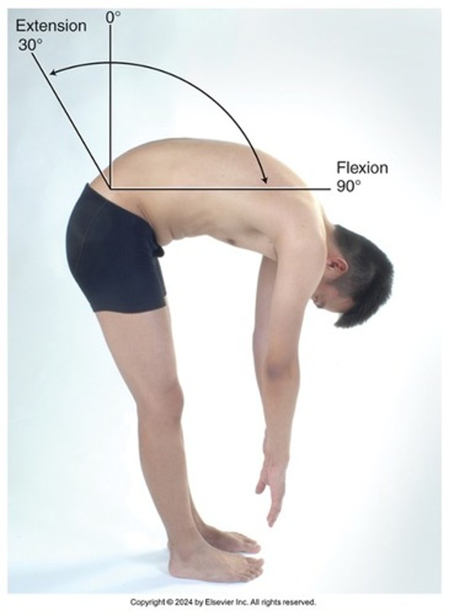 <p>-inspect-> straight, shoulder height</p><p>-palpate spinous processes should be straight and nontender</p><p>-touch toes, lean left and right, rotation</p>
