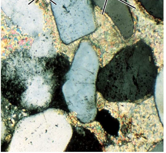 term image