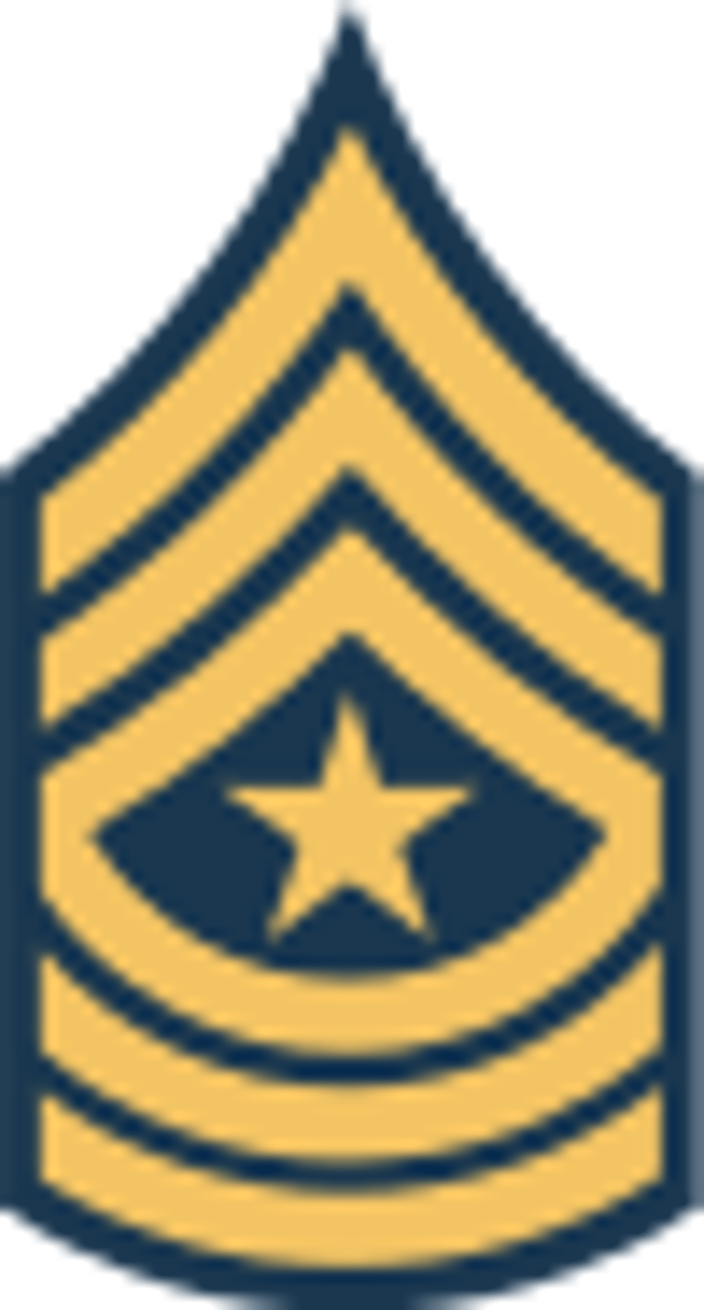 <p>E-9 (Army)</p>