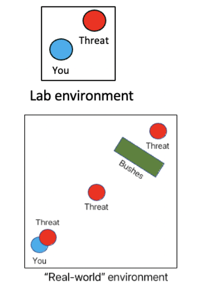 <p>advantages:</p><ul><li><p>greater control over extraneous variables</p></li><li><p>easier to replicate lab environments</p></li></ul><p></p><p>disadvantages:</p><ul><li><p>fear eliciting stimuli is not static on spatiotemporal dimensions - low ecological validity </p></li></ul><p></p>