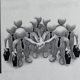 <p>the team</p>