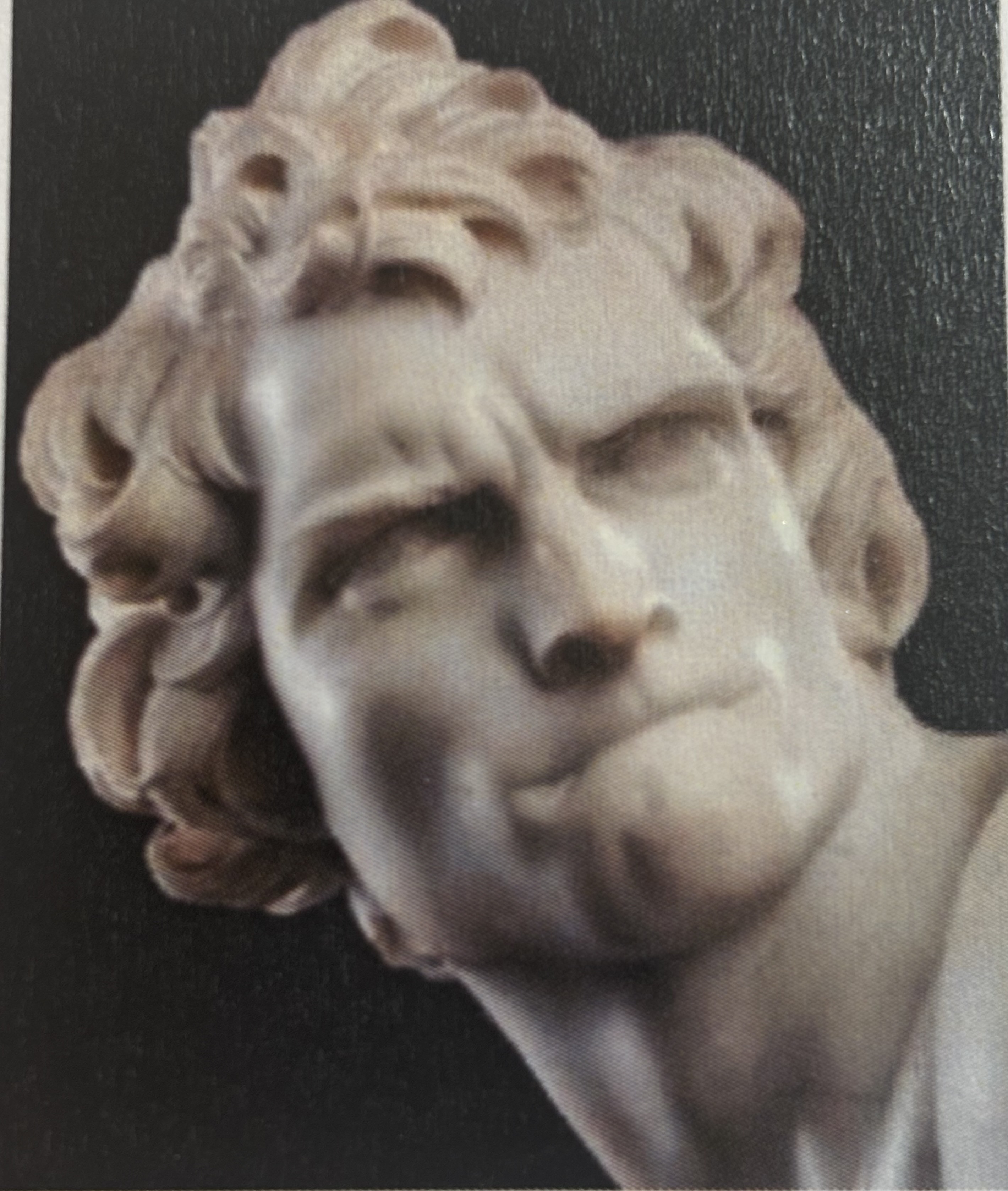 <p>Dāvids</p>