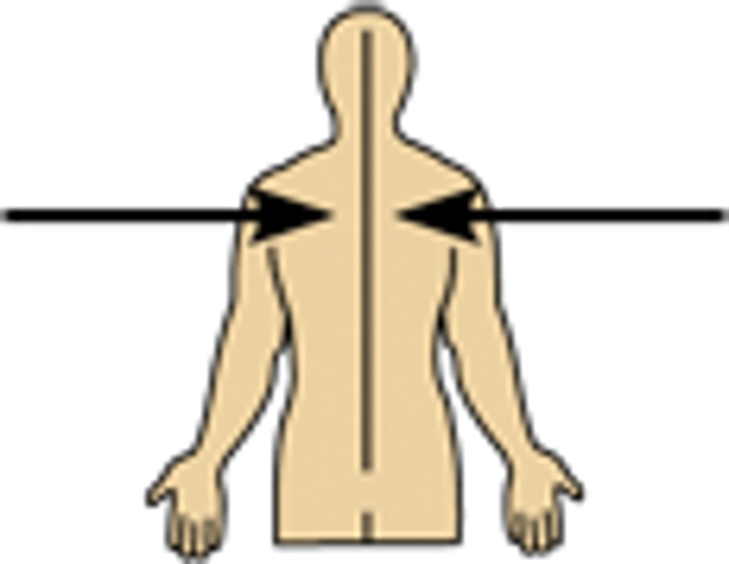 <p>toward or at the midline of the body; on the inner side of</p>