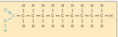 <p>carbon chain surrounded by the max number of hydrogen because all carbons are bonded with single bonds. bad for you. solid at room temperature.</p>