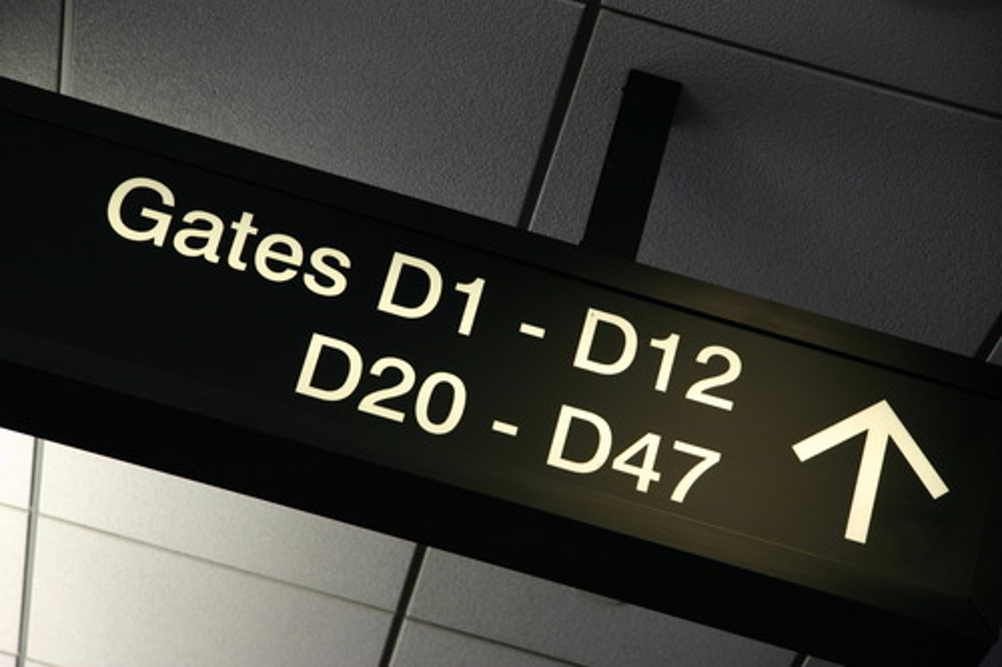 <p>gate (airport)</p>