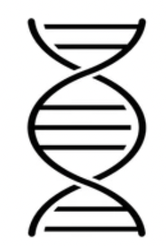 <p>what’s this called</p>