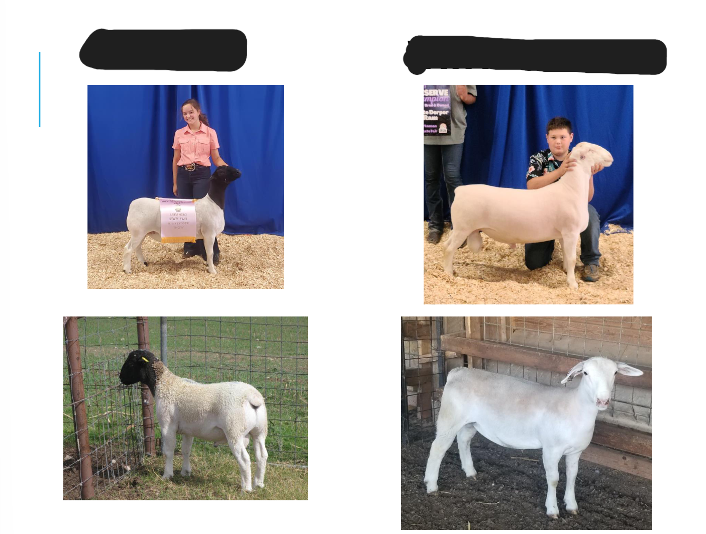 <p>White colored</p><p>Either solid white or w/ a black head</p>