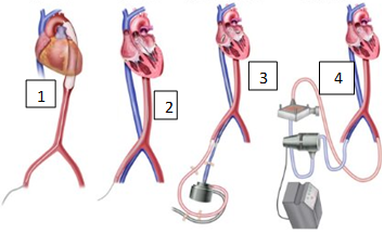 <p>what device is 3</p>