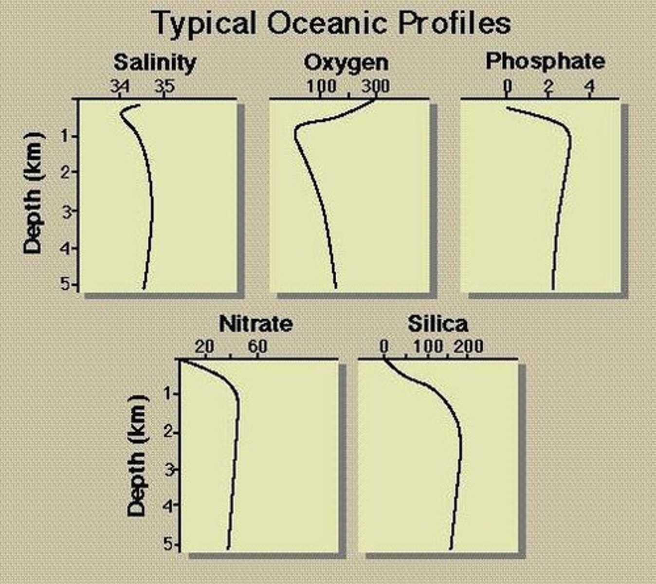 <p>Fixed nitrogen (N), phosphorus (P), silicon (Si), and iron (Fe), depending on location.</p>