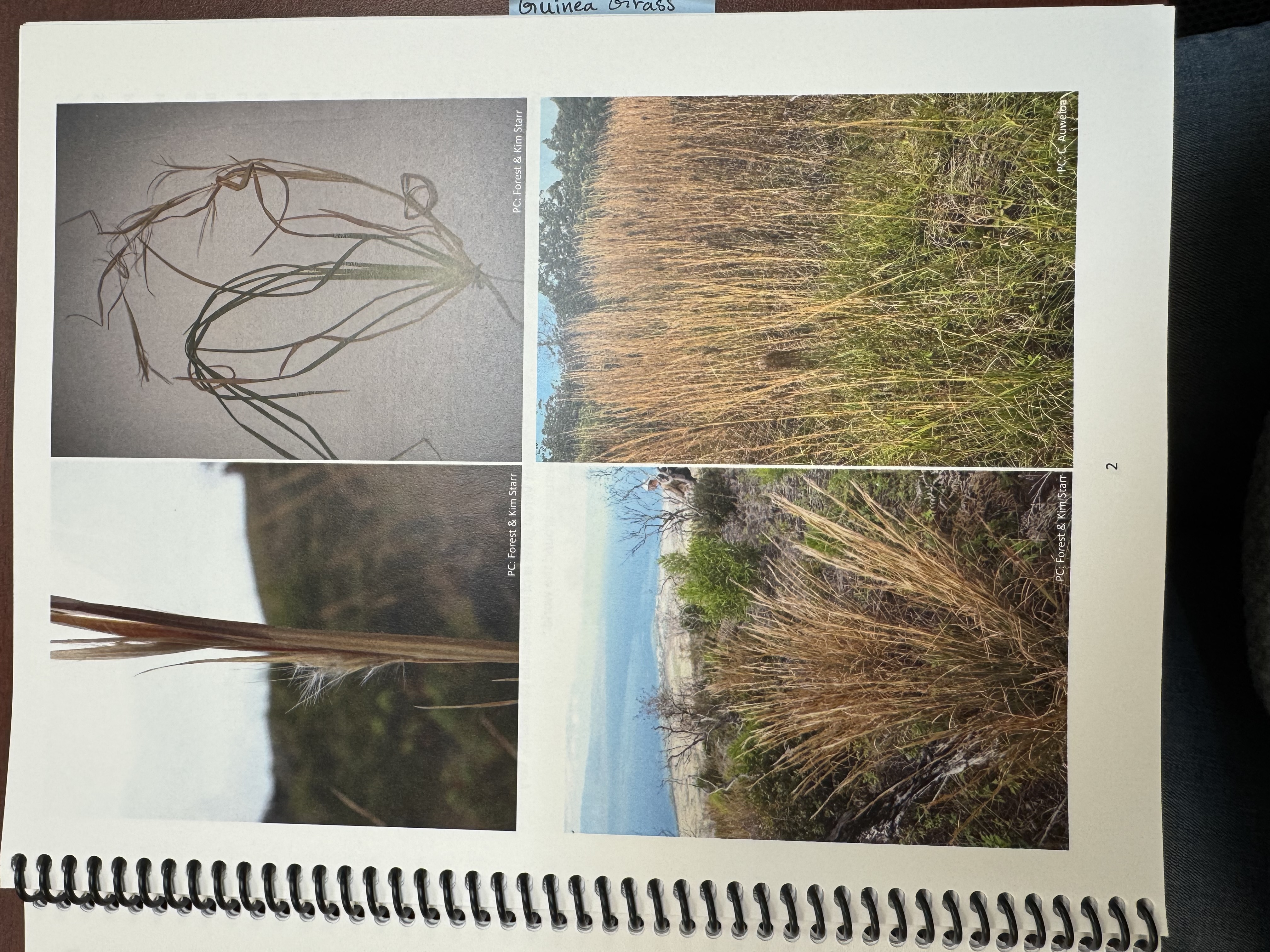 <img src="blob:null/6462fe46-bb02-40b3-9579-a8ad9a2d5681"><p></p>