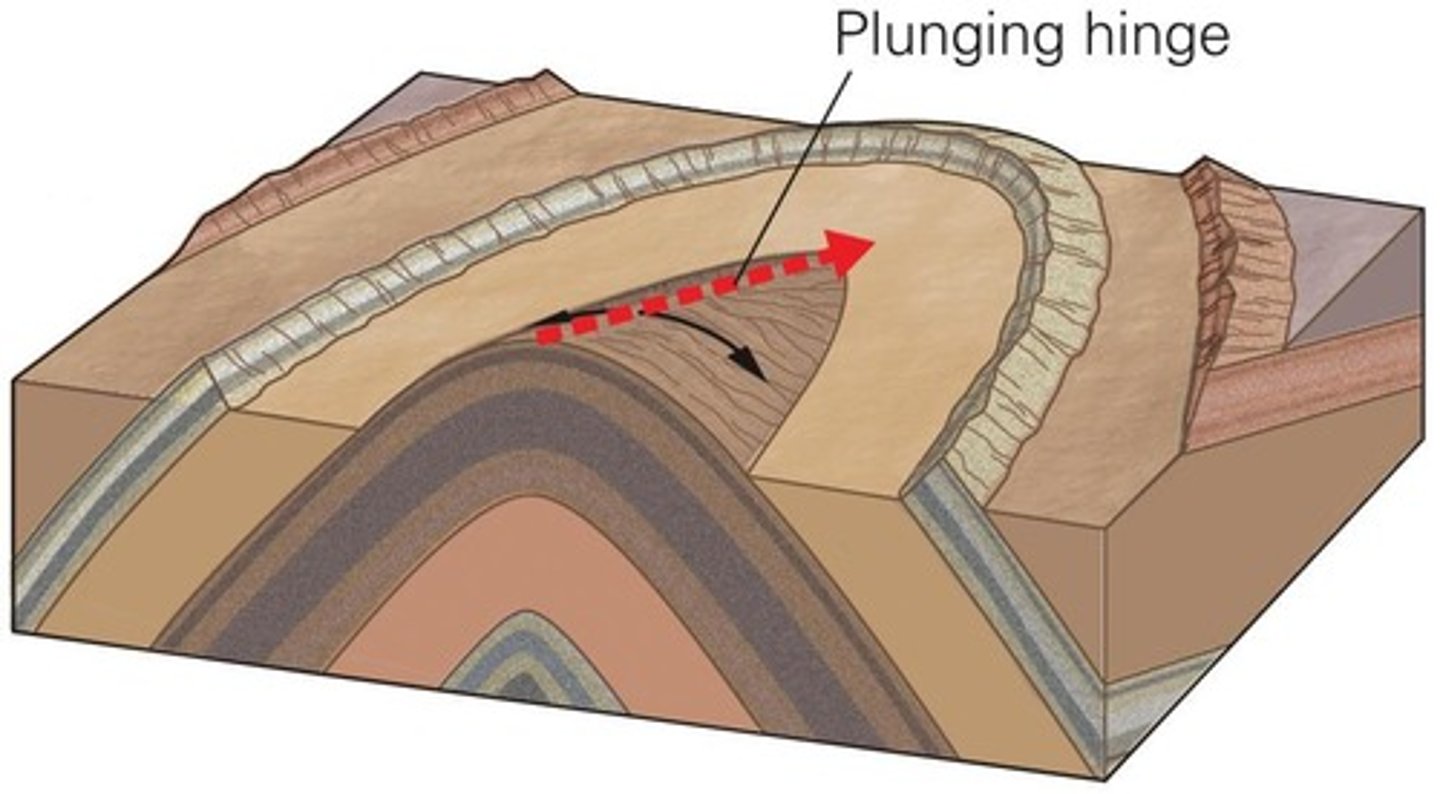 <p>A fold where the hinge line plunges downward into the ground, rather than remaining horizontal.</p>