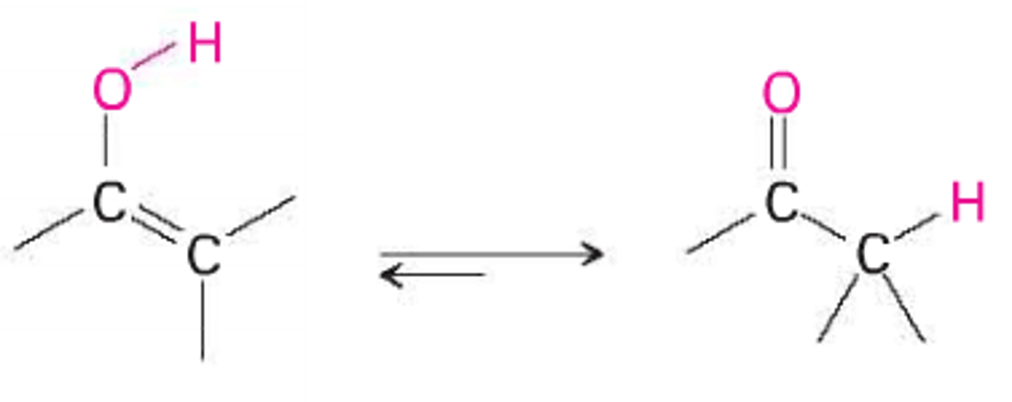 <p>right form</p>