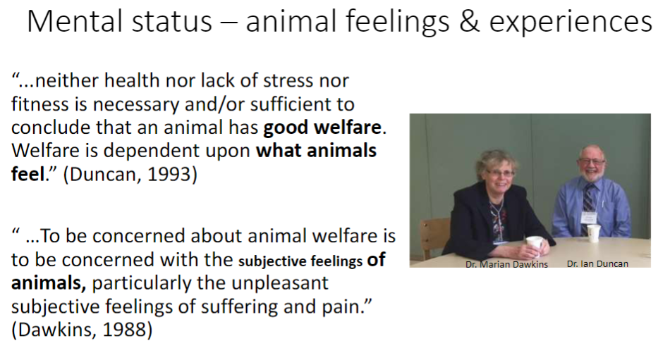 <p><strong>Welfare not solely physical</strong><br>ā<strong>Health, stress levels, and fitness</strong> alone are <strong>not enough</strong> to determine good welfare</p><p><strong>Subjective experience matters</strong><br>āWelfare depends on what animals <strong>feel</strong></p><p><strong>Focus on unpleasant feelings</strong><br>āParticularly <strong>suffering and pain</strong> are key concerns in assessing welfare</p><p><strong>Key Researchers</strong><br>āDr. Ian Duncan ā emphasizes feelings over just physical state<br>āDr. Marian Dawkins ā emphasizes <strong>unpleasant subjective experiences</strong></p>