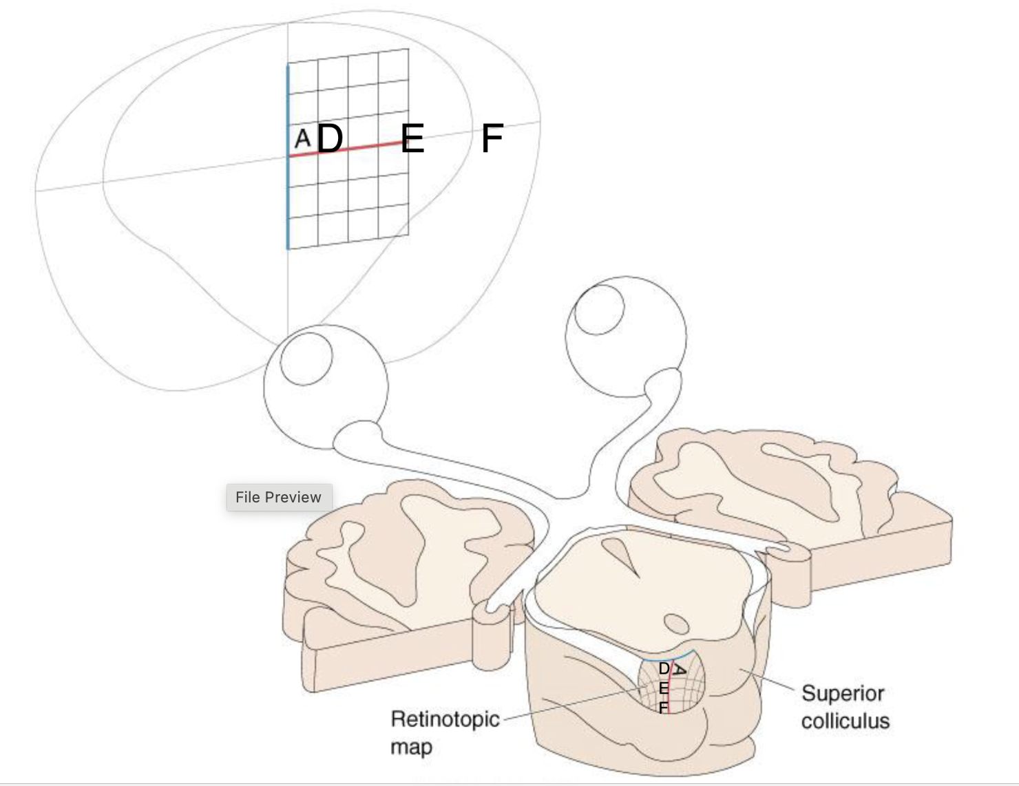 <p>What does this figure present? </p>
