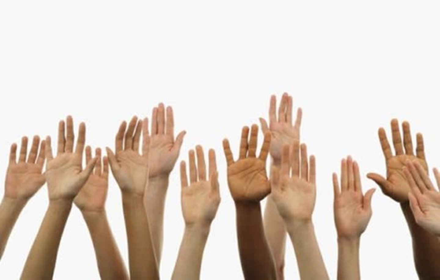 <p>hands</p>