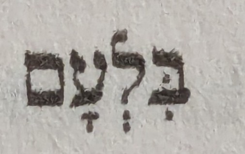 term image