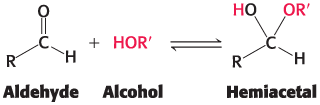 <ul><li><p>an aldehyde can react with an alcohol to form a hemiacetal</p></li><li><p>A ketone can react with an alcohol to form a hemiketal</p></li></ul><p></p>