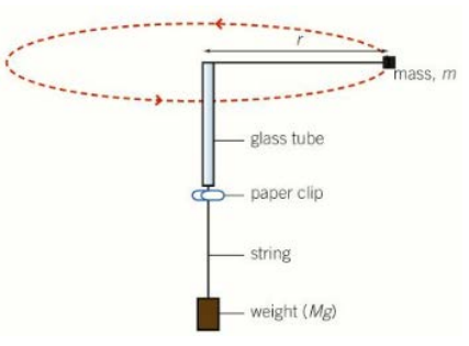 <ol><li><p>Tying a bung, with mass m, to a piece of string and threading it through a glass tube</p></li><li><p>The other end of the string has a weight, with mass M, suspended from it</p></li><li><p>This provides the centripetal force, F = Mg, as the tension throughout the string is constant</p></li><li><p>The string is whirled in a circle, and the time taken for a complete rotation is recorded</p></li><li><p>The mass of the weight is altered and the experiment repeated</p></li><li><p>We can equate two equations to get: Mg = (mv²/r) </p></li><li><p>By measuring the radius of the circle, and using time for one complete oscillation, the velocity can be determined</p></li><li><p>When v² is plotted against M, a straight line graph which passes through the origin should be produced</p></li></ol>