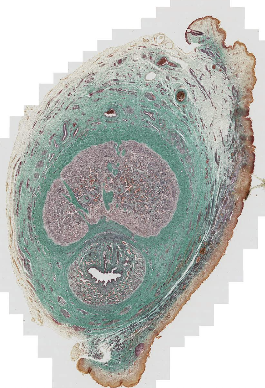 <p>What is this?</p>