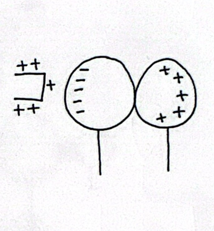 <p>Demonstrate charging a conductor by induction • 2</p>