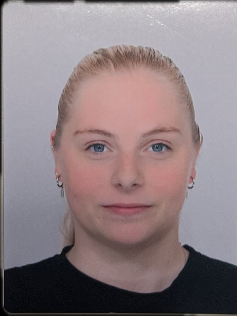 term image